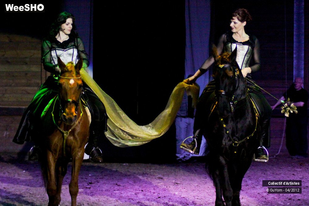 27/50 photos du spectacle Spectacle Equestre Seniors