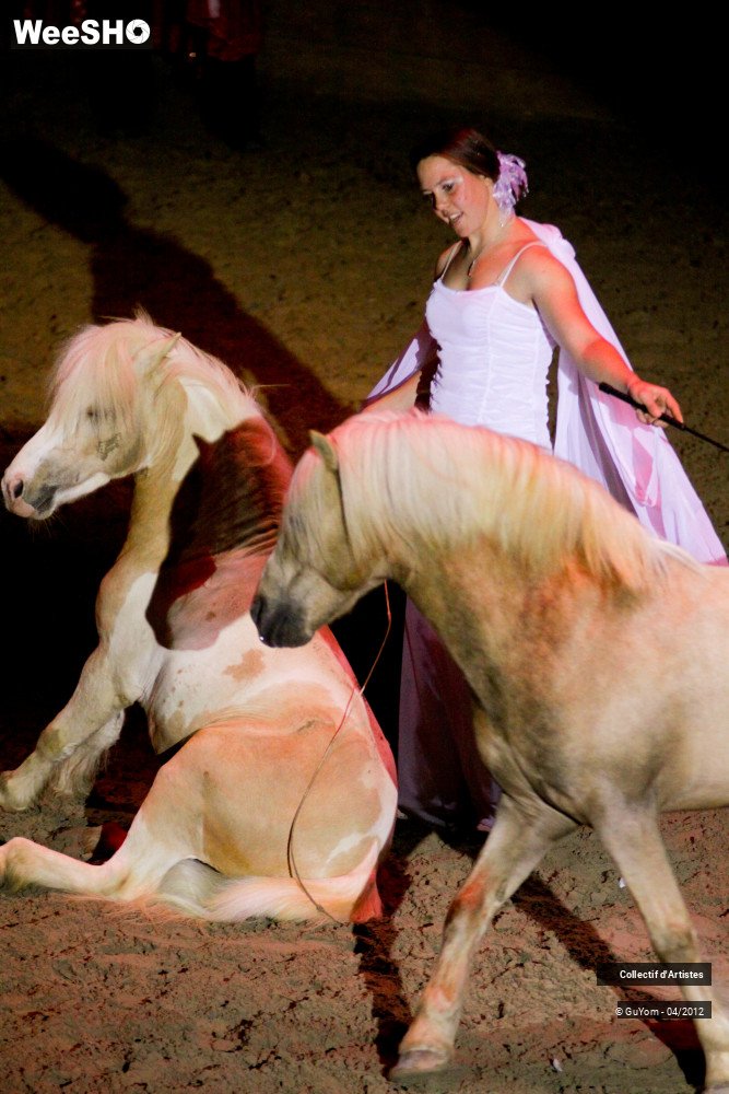31/50 photos du spectacle Spectacle Equestre Seniors