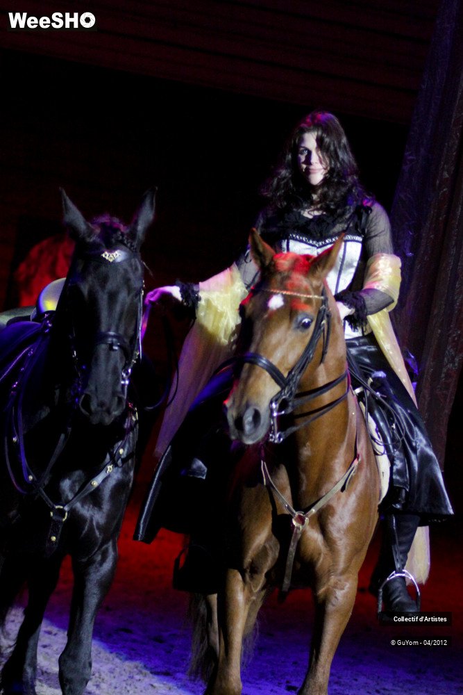 35/50 photos du spectacle Spectacle Equestre Seniors