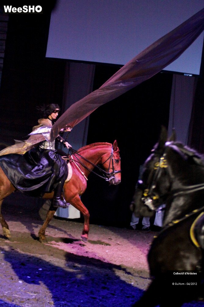 36/50 photos du spectacle Spectacle Equestre Seniors