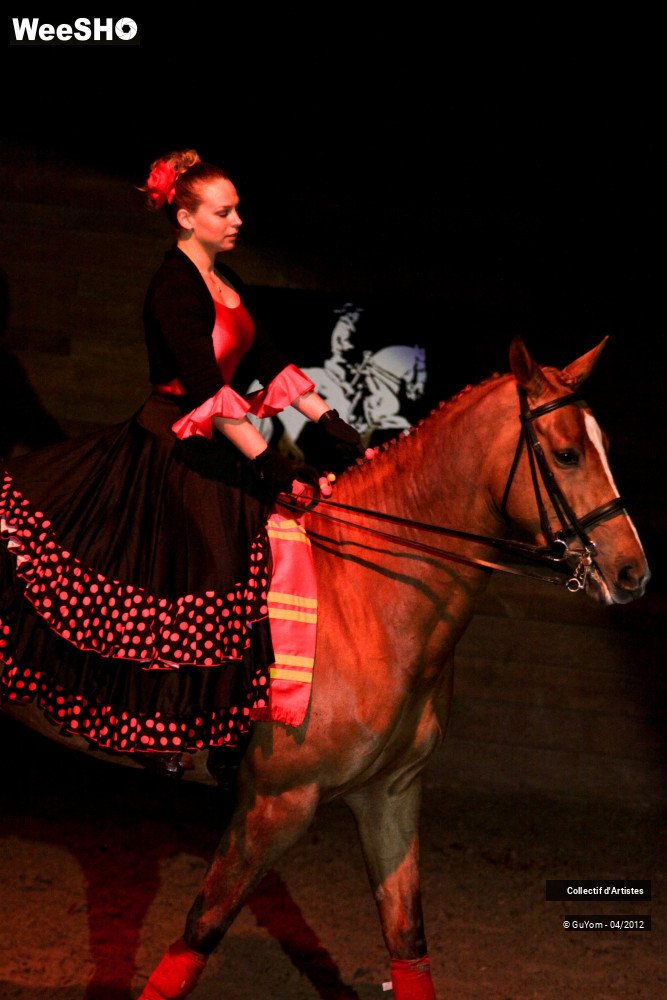 37/50 photos du spectacle Spectacle Equestre Seniors