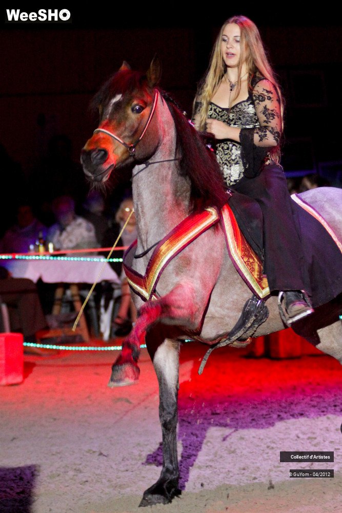 38/50 photos du spectacle Spectacle Equestre Seniors