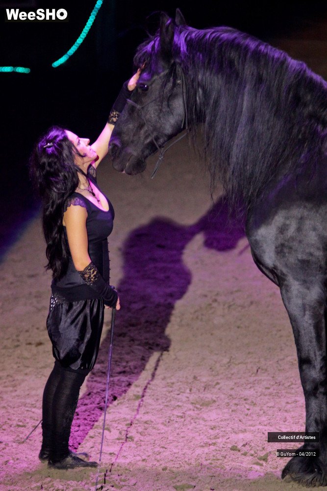 39/50 photos du spectacle Spectacle Equestre Seniors
