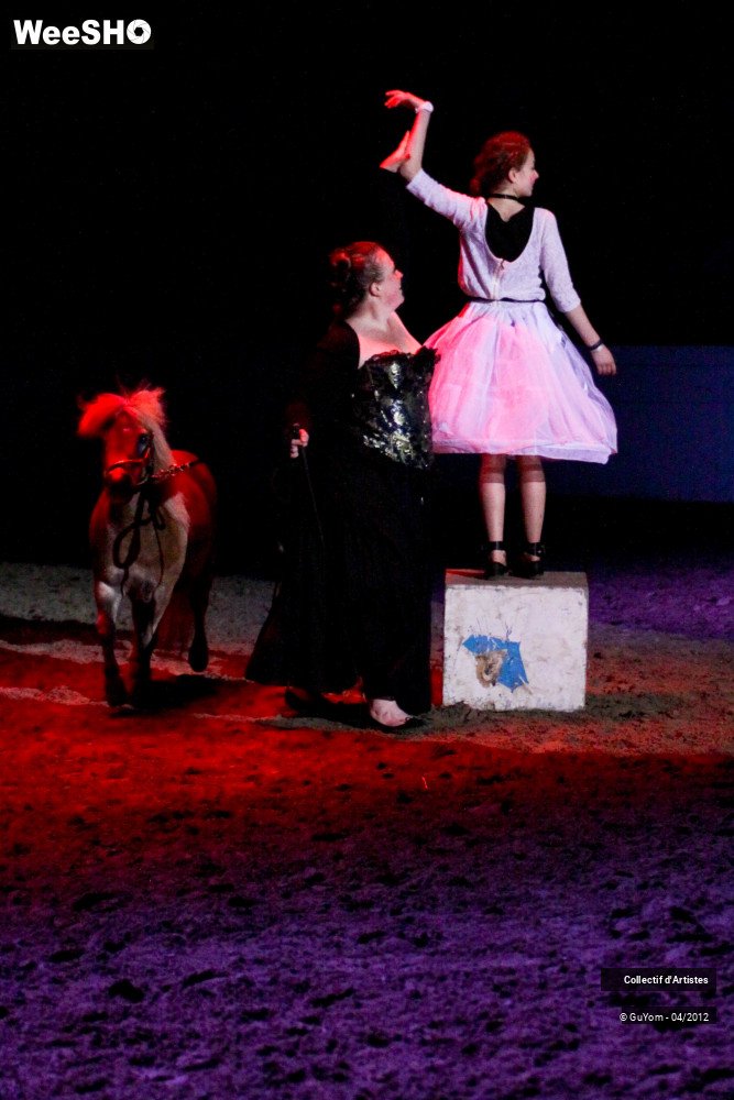 40/50 photos du spectacle Spectacle Equestre Seniors