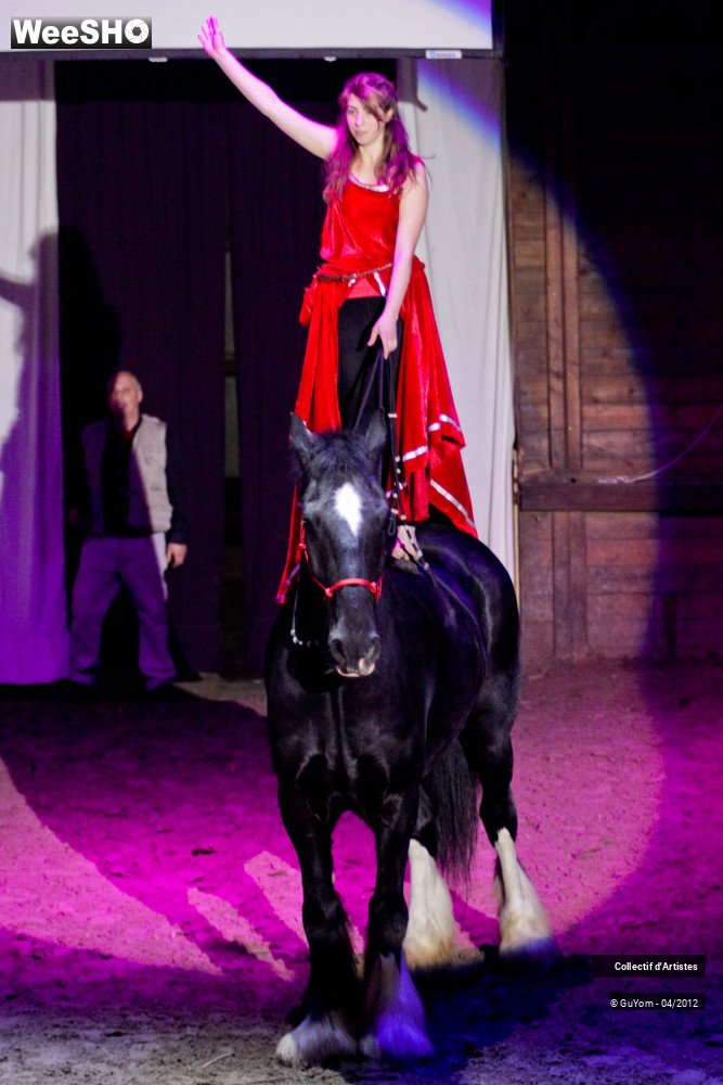 43/50 photos du spectacle Spectacle Equestre Seniors