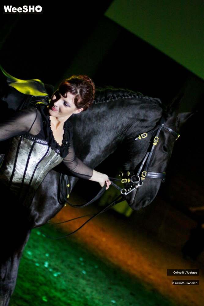 45/50 photos du spectacle Spectacle Equestre Seniors