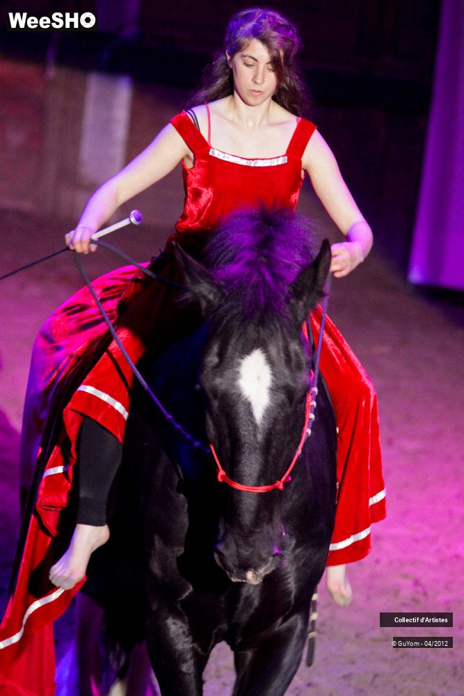 46/50 photos du spectacle Spectacle Equestre Seniors