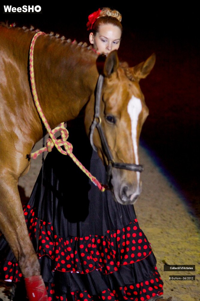 48/50 photos du spectacle Spectacle Equestre Seniors