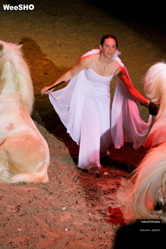 49/50 photos du spectacle Spectacle Equestre Seniors
