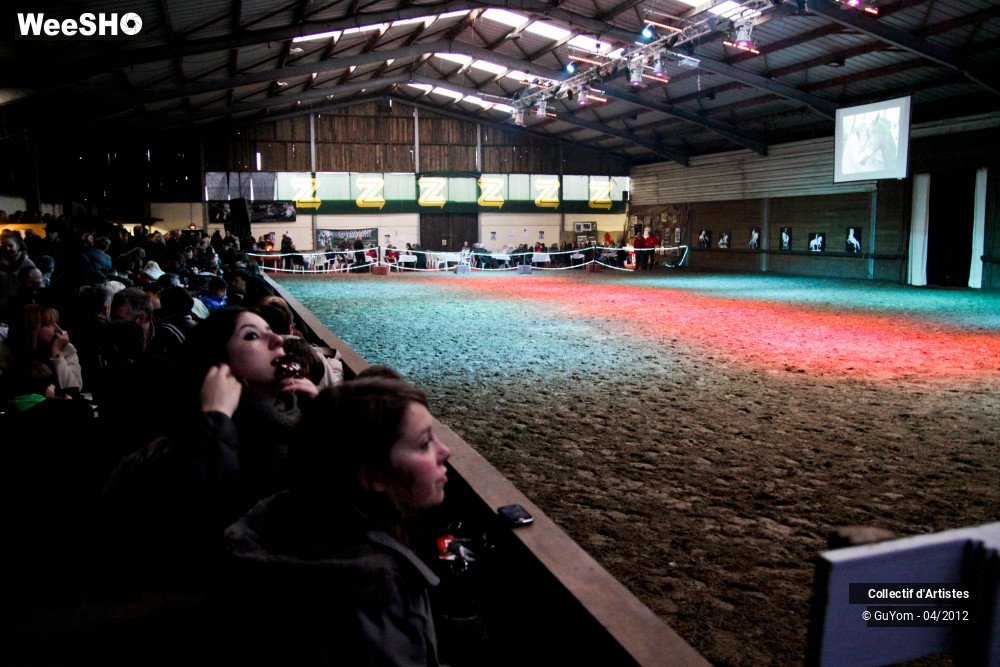 3/22 photos du spectacle Spectacle Equestre Ambiance