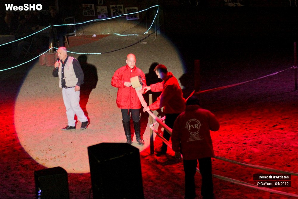 6/22 photos du spectacle Spectacle Equestre Ambiance