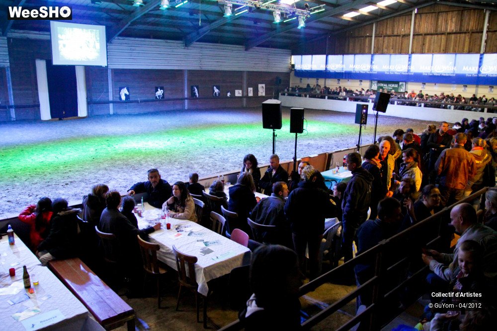 8/22 photos du spectacle Spectacle Equestre Ambiance