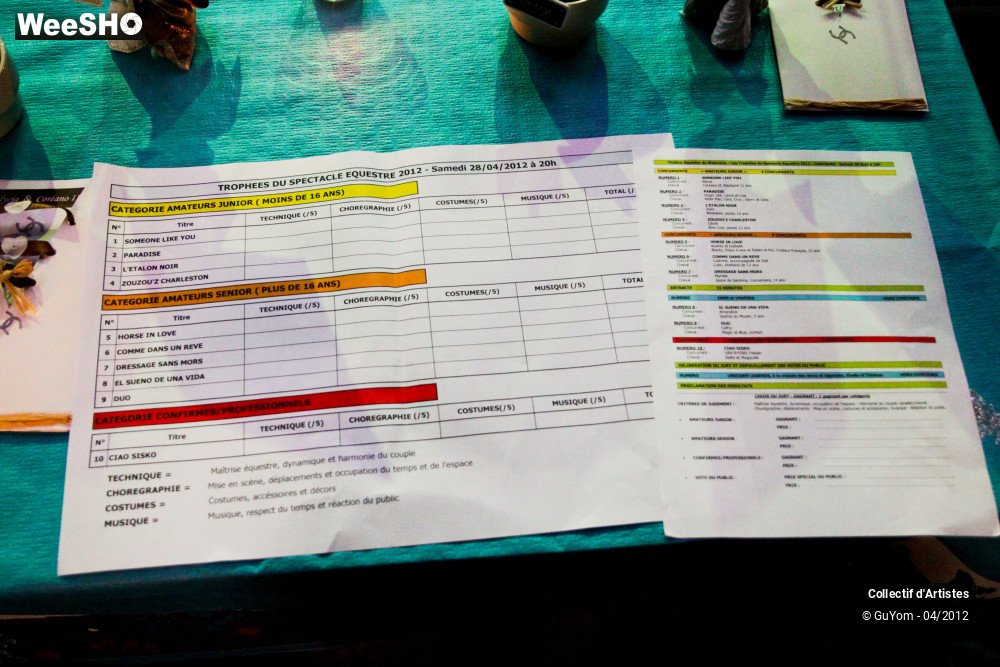 9/22 photos du spectacle Spectacle Equestre Ambiance