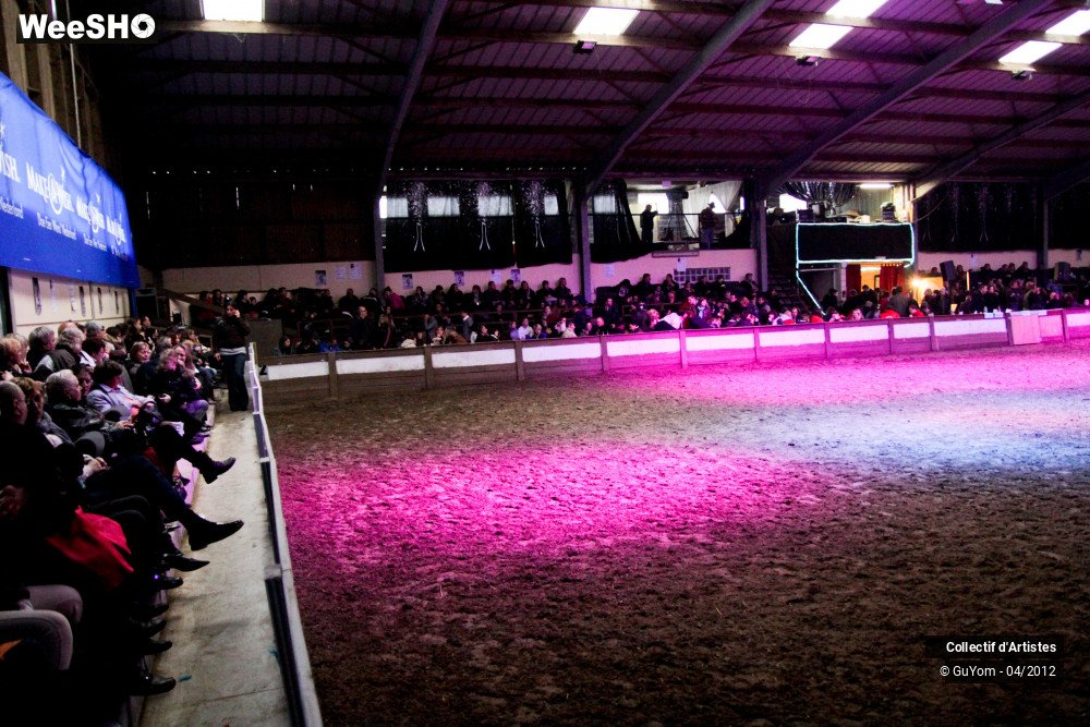 16/22 photos du spectacle Spectacle Equestre Ambiance