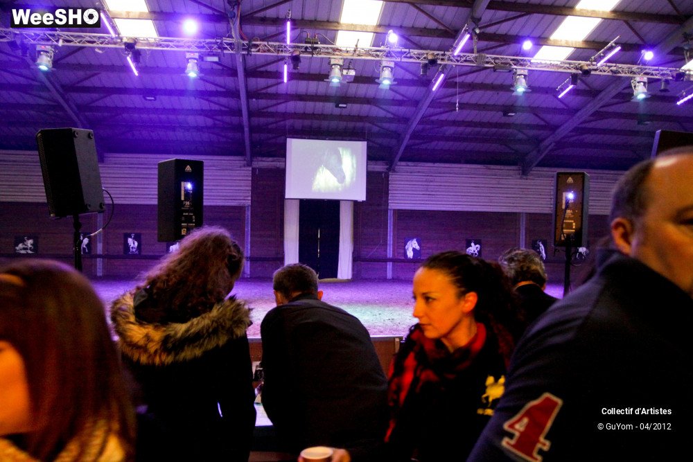 20/22 photos du spectacle Spectacle Equestre Ambiance