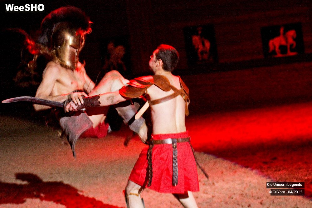 1/50 photos du spectacle Spectacle Equestre Confirmés