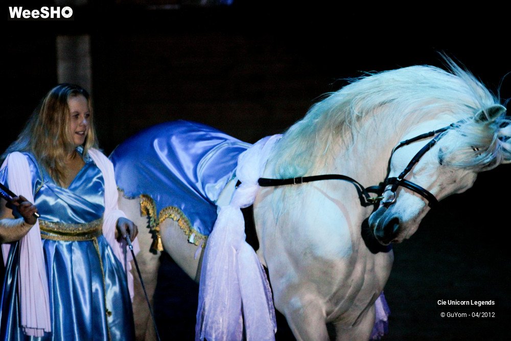 5/50 photos du spectacle Spectacle Equestre Confirmés