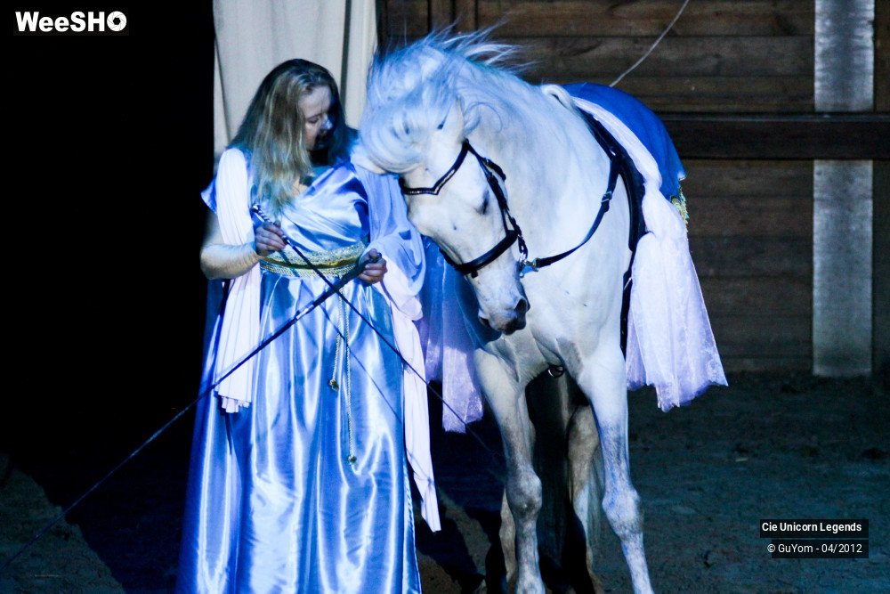 11/50 photos du spectacle Spectacle Equestre Confirmés