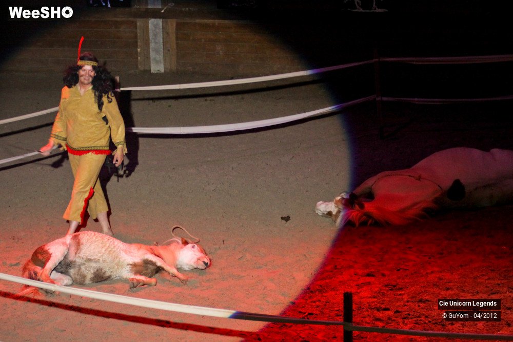 13/50 photos du spectacle Spectacle Equestre Confirmés