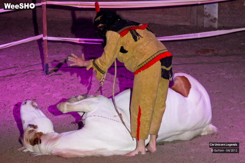 18/50 photos du spectacle Spectacle Equestre Confirmés