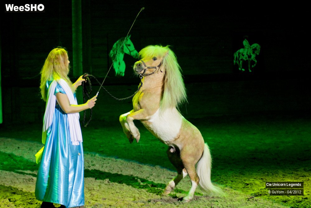 20/50 photos du spectacle Spectacle Equestre Confirmés