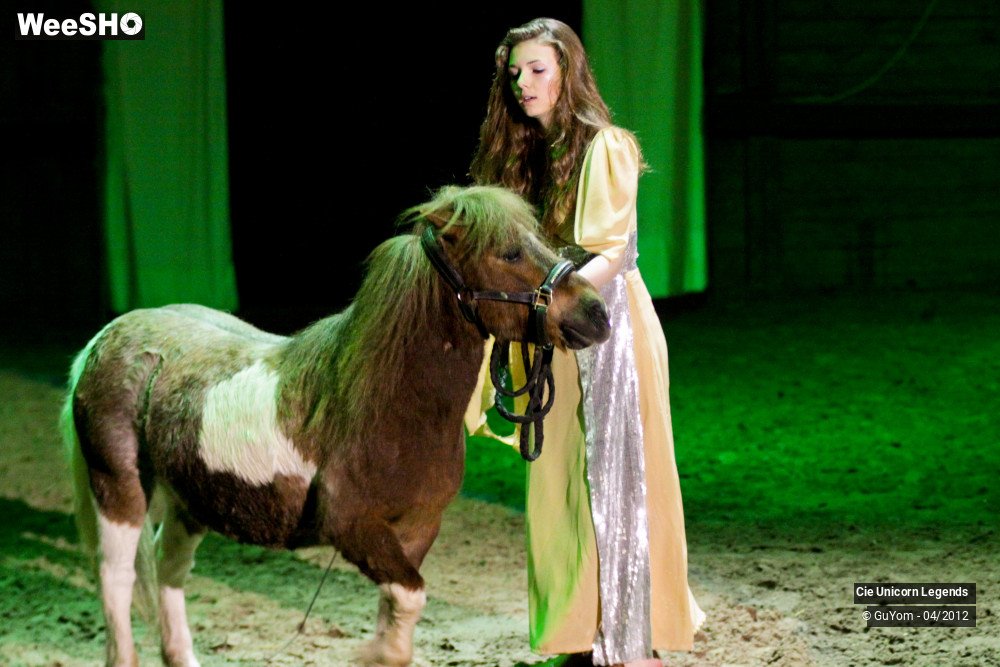 22/50 photos du spectacle Spectacle Equestre Confirmés