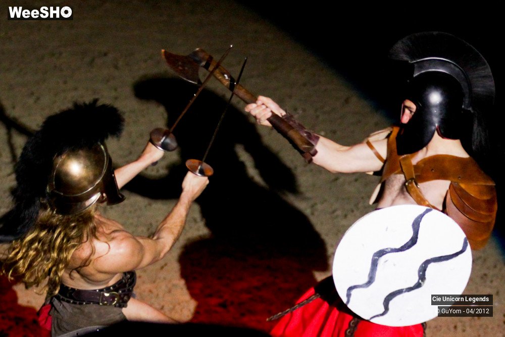 23/50 photos du spectacle Spectacle Equestre Confirmés