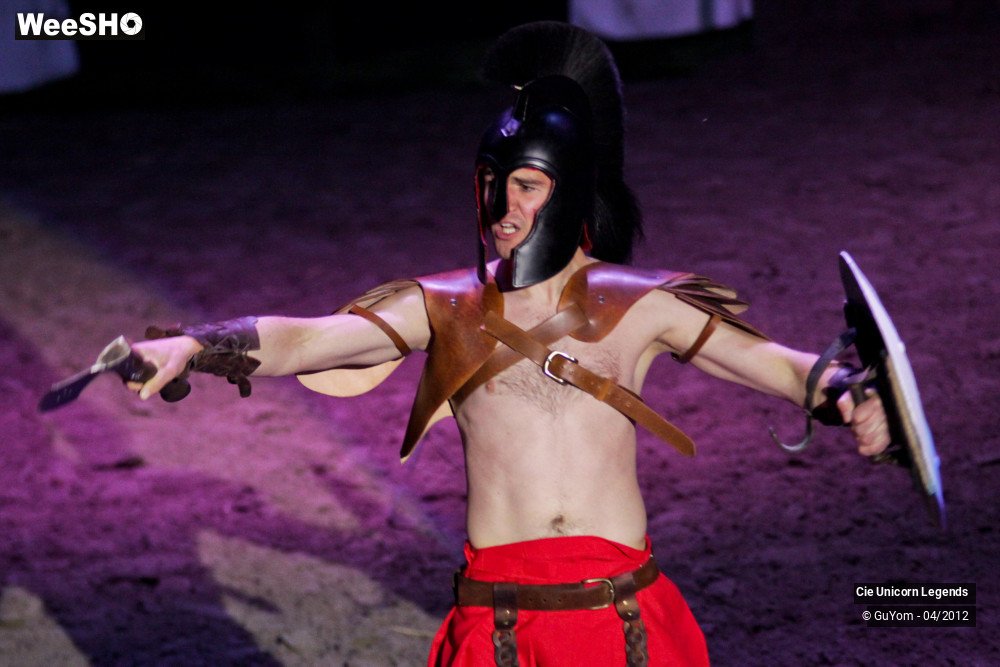 25/50 photos du spectacle Spectacle Equestre Confirmés