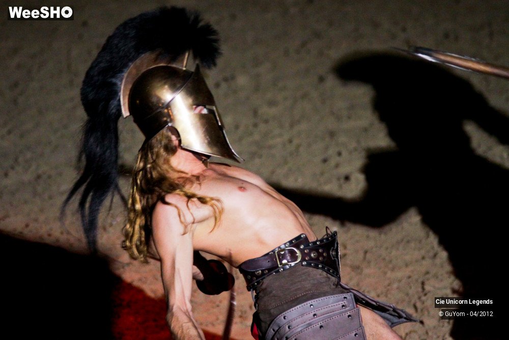 28/50 photos du spectacle Spectacle Equestre Confirmés