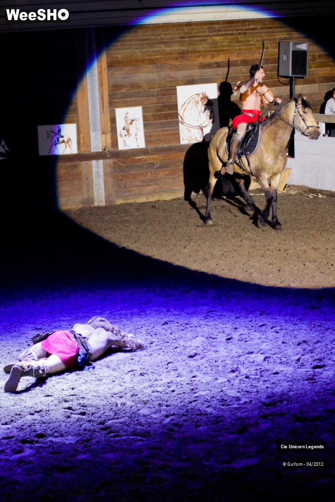 34/50 photos du spectacle Spectacle Equestre Confirmés