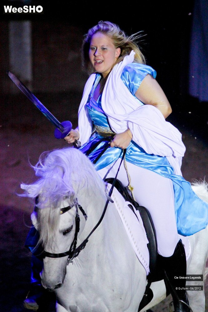 35/50 photos du spectacle Spectacle Equestre Confirmés