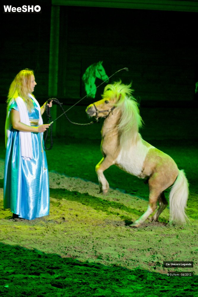 38/50 photos du spectacle Spectacle Equestre Confirmés