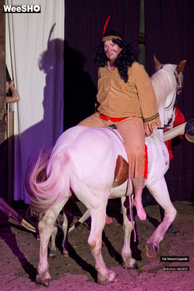 39/50 photos du spectacle Spectacle Equestre Confirmés