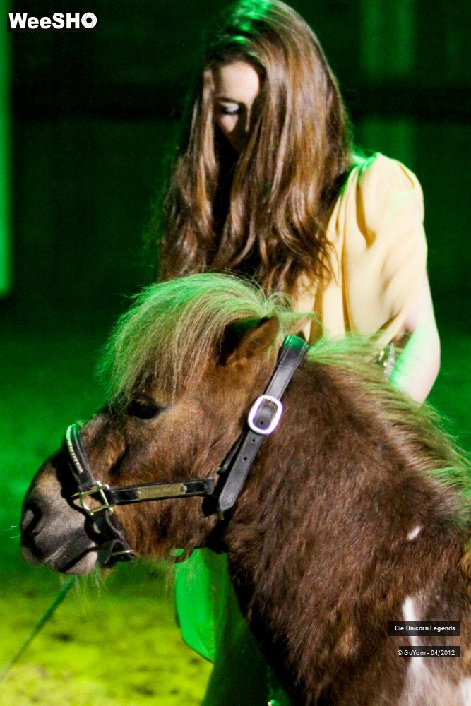 42/50 photos du spectacle Spectacle Equestre Confirmés