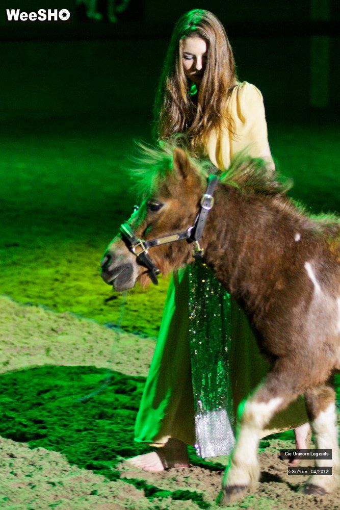 46/50 photos du spectacle Spectacle Equestre Confirmés