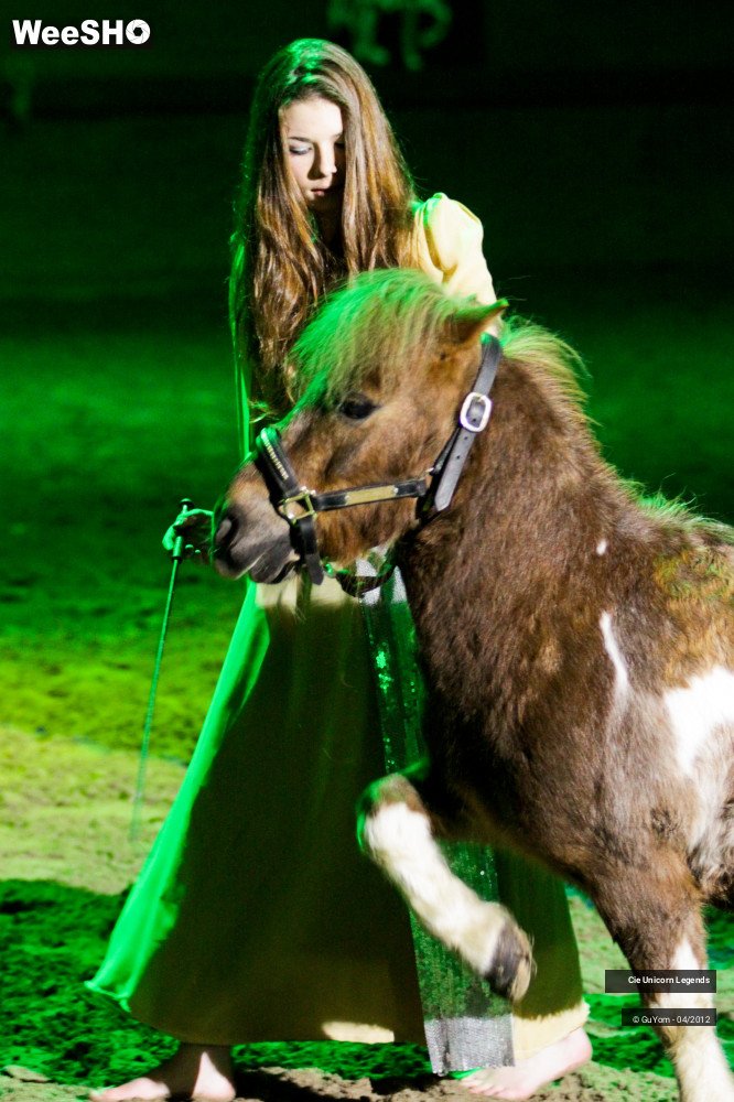 47/50 photos du spectacle Spectacle Equestre Confirmés