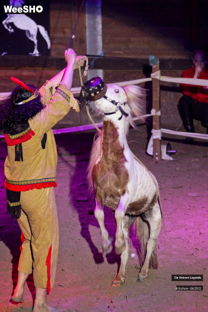 49/50 photos du spectacle Spectacle Equestre Confirmés