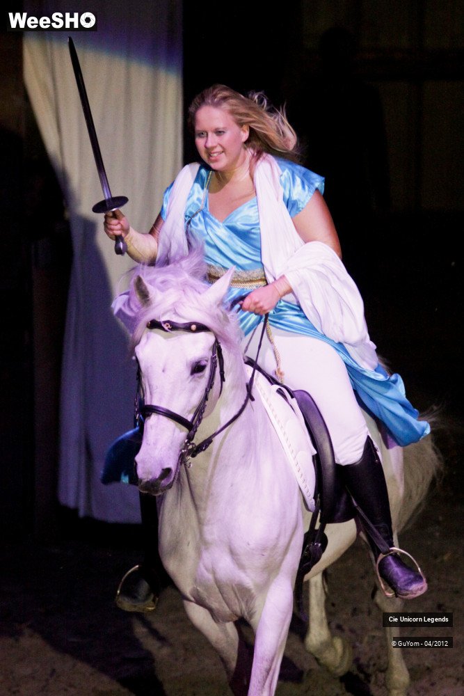 50/50 photos du spectacle Spectacle Equestre Confirmés