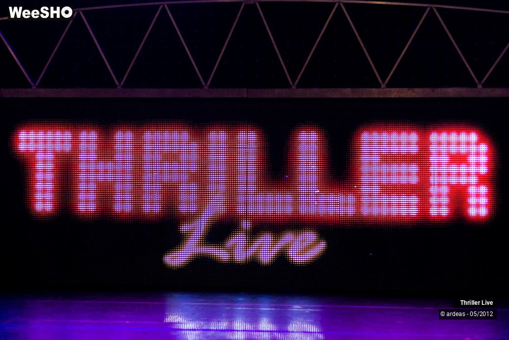 2/42 photos du spectacle Thriller Live