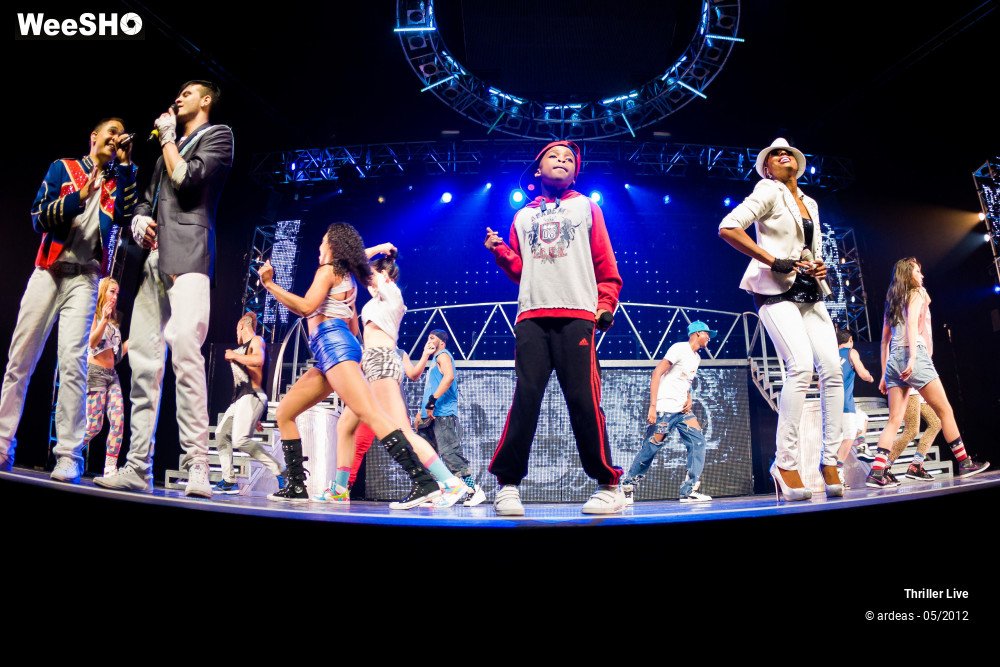 8/42 photos du spectacle Thriller Live