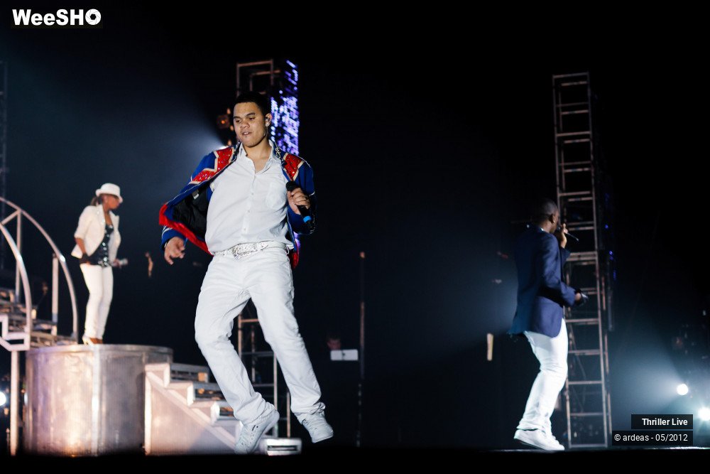 13/42 photos du spectacle Thriller Live