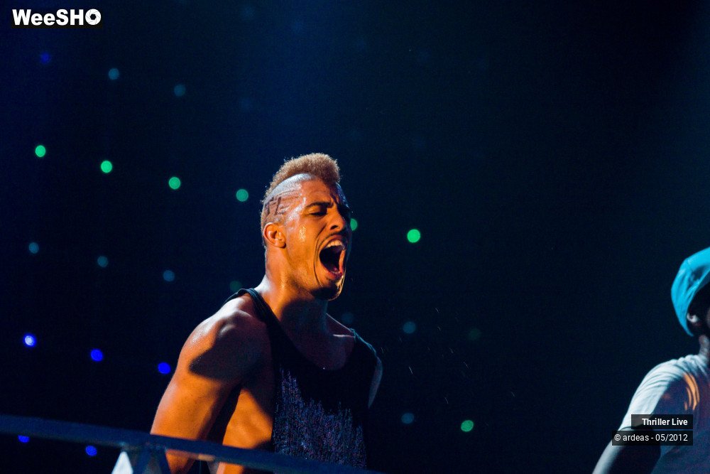 17/42 photos du spectacle Thriller Live