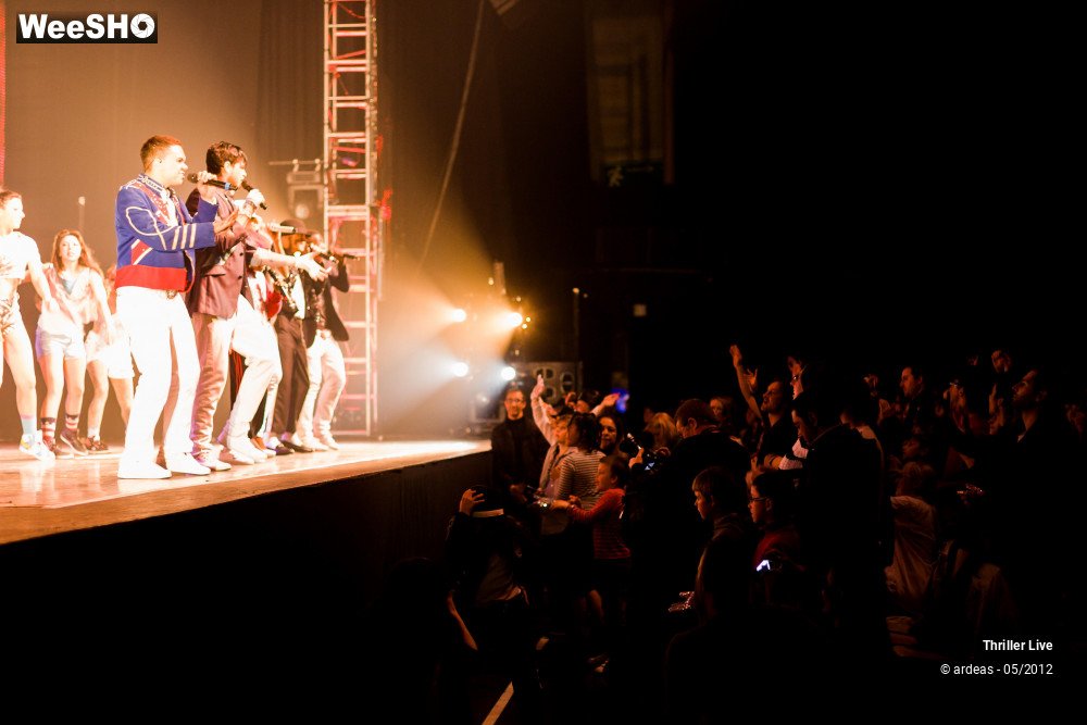 18/42 photos du spectacle Thriller Live