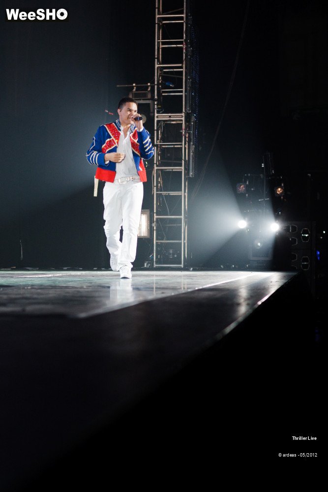 27/42 photos du spectacle Thriller Live