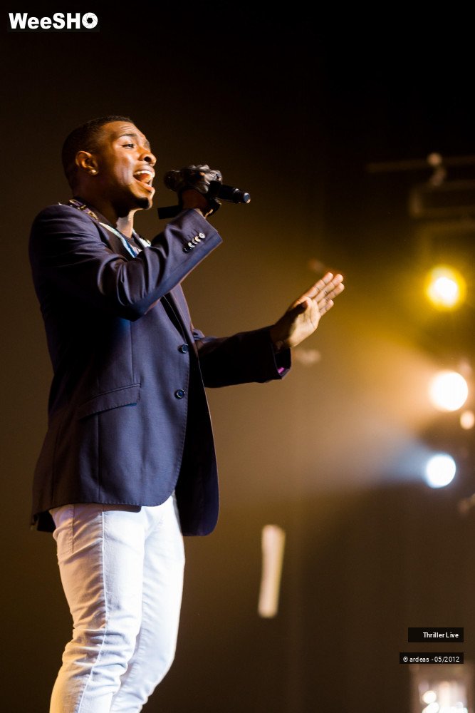 30/42 photos du spectacle Thriller Live