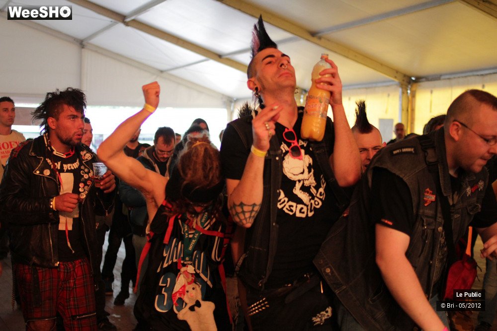 4/32 photos du spectacle Zikenstock Ambiance