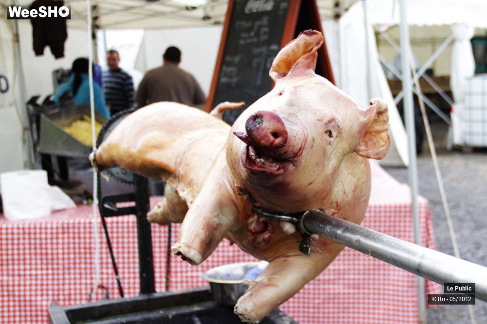 16/32 photos du spectacle Zikenstock Ambiance