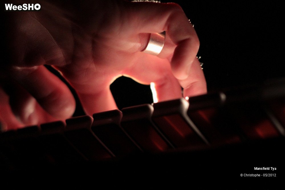 4/48 photos du spectacle Mansfield Tya