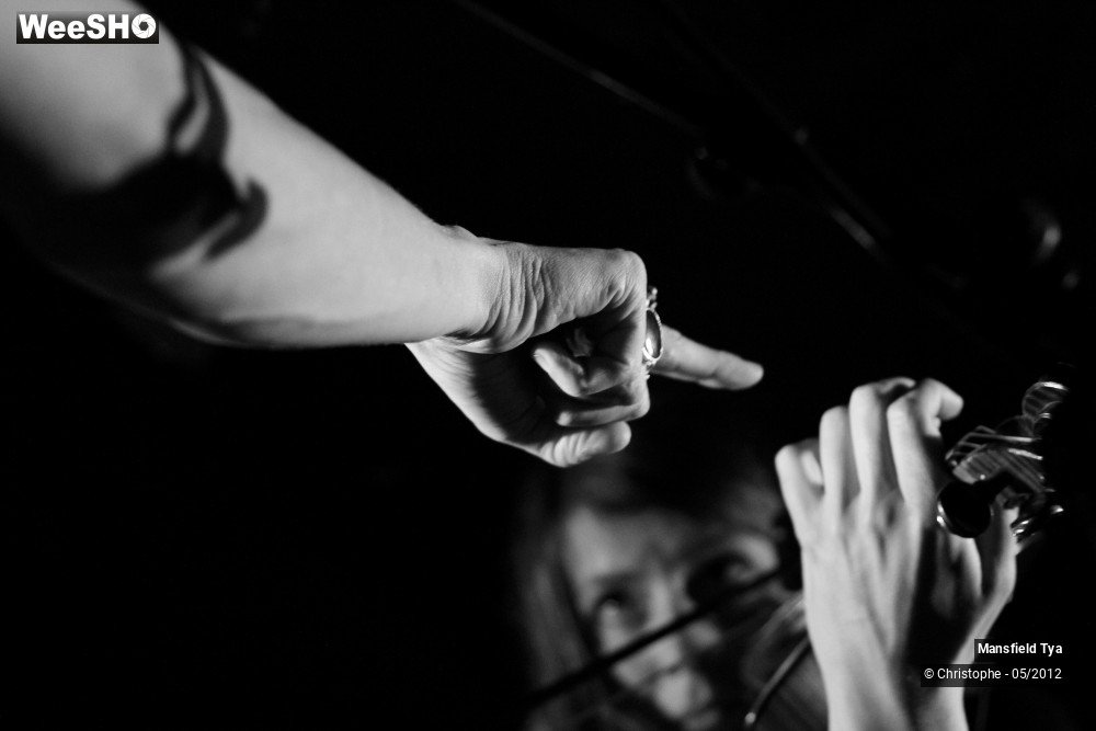 15/48 photos du spectacle Mansfield Tya