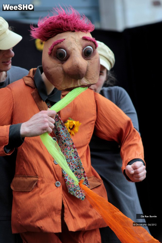 27/44 photos du spectacle Mario